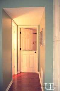 halfdoor1