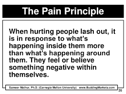 painprinciple